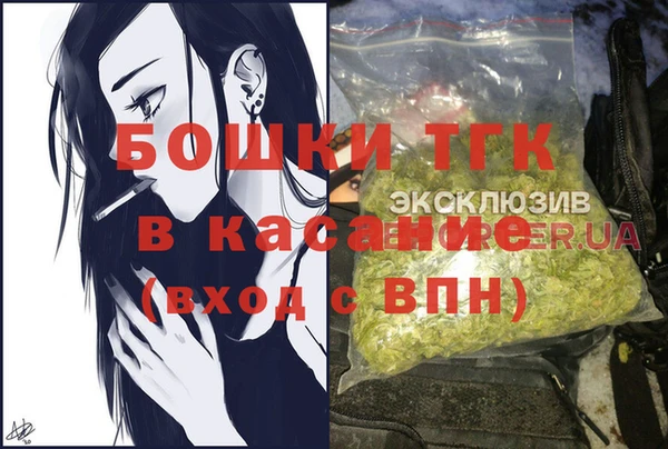 винт Армянск