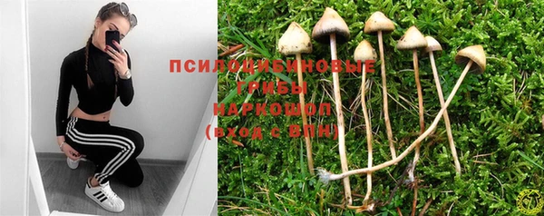 винт Армянск