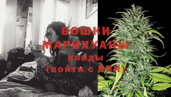 бошки Арсеньев