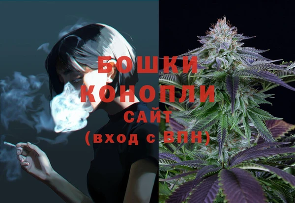 бошки Арсеньев